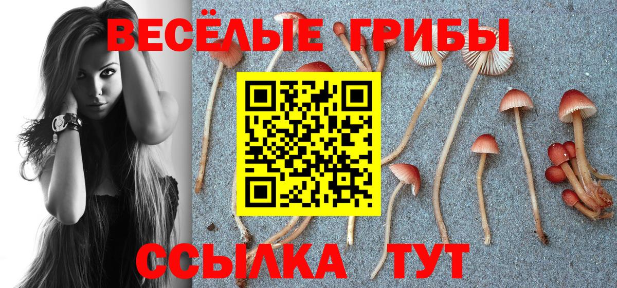Псилоцибиновые грибы GOLDEN TEACHER Алатырь