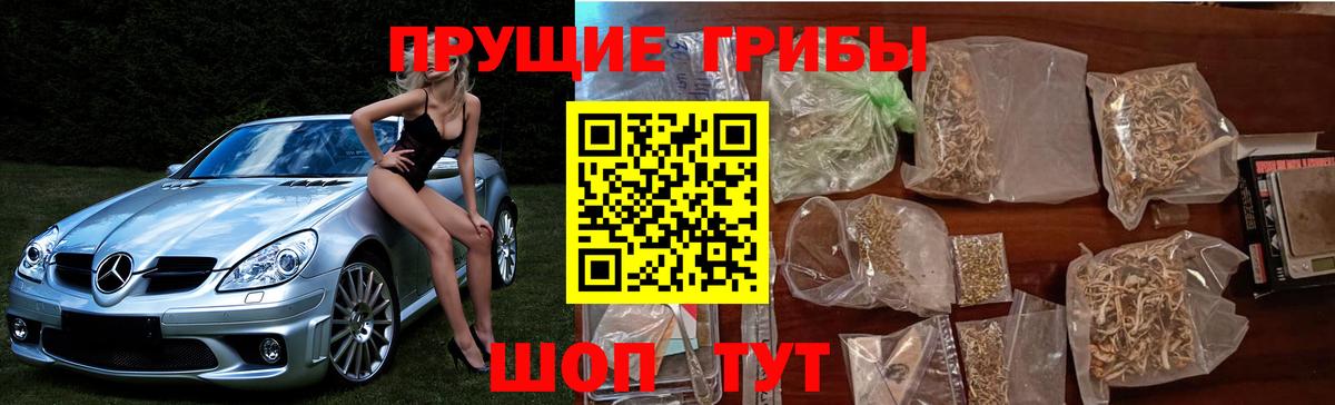 Галлюциногенные грибы Psilocybe  Вход с VPN  Алатырь 